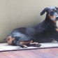 con 5 meses